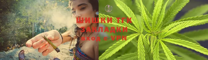 Виды наркотиков купить Заводоуковск Alpha-PVP  Каннабис  MDMA  Псилоцибиновые грибы  Гашиш  Меф  Кокаин 